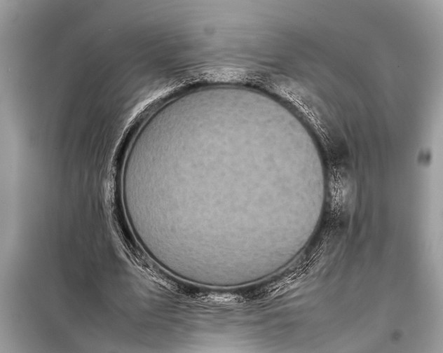 X0000098190583200805081050