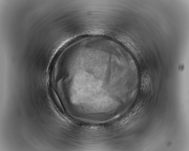 X0000098190584200805081050