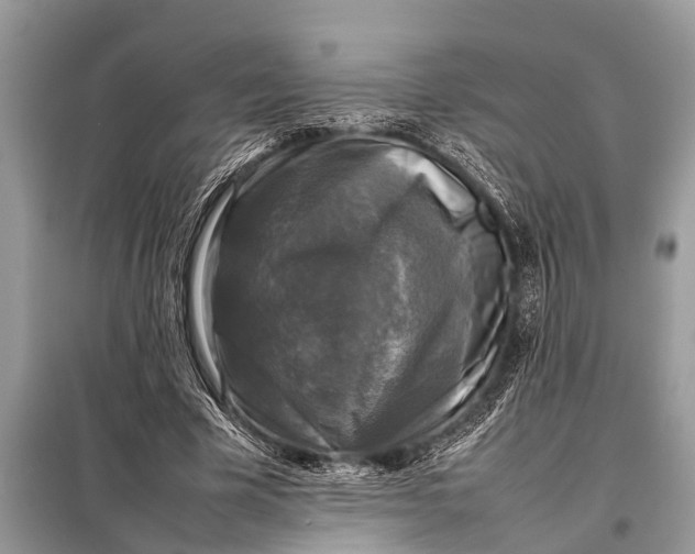 X0000098190585200805081050