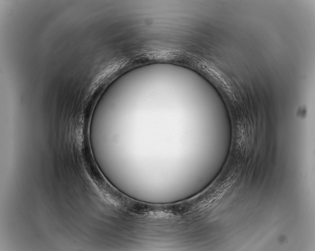 X0000098190586200805081050