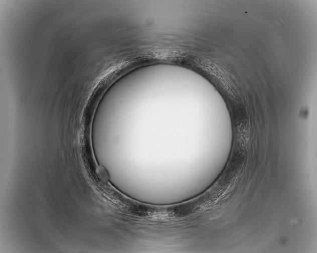 X0000098190587200805081050