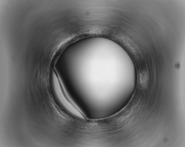 X0000098190588200805081050