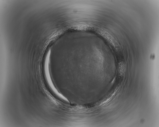 X0000098190589200805081050