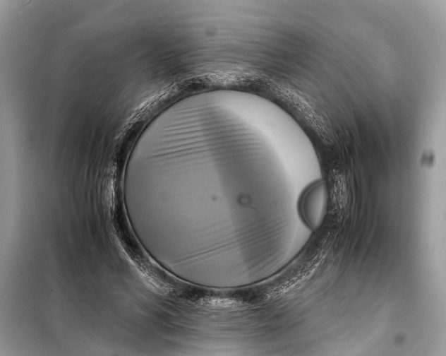 X0000098190590200805081050