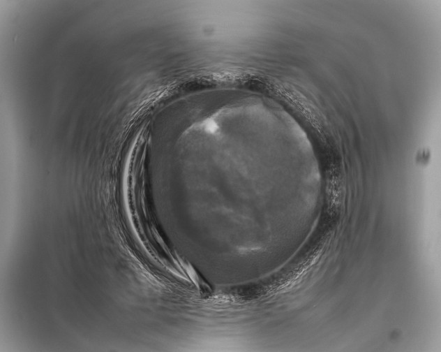 X0000098190593200805081050