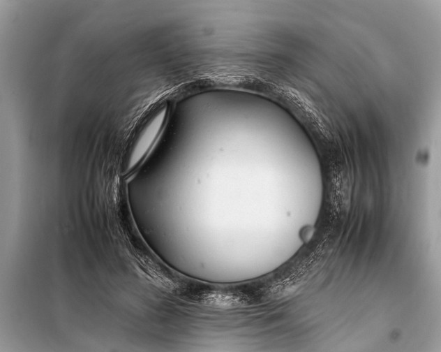 X0000098190596200805081050