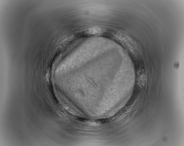 X0000098190597200805081049