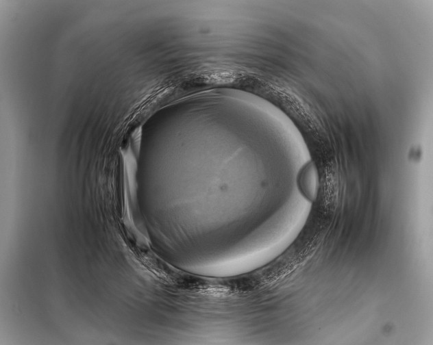 X0000098190598200805081049