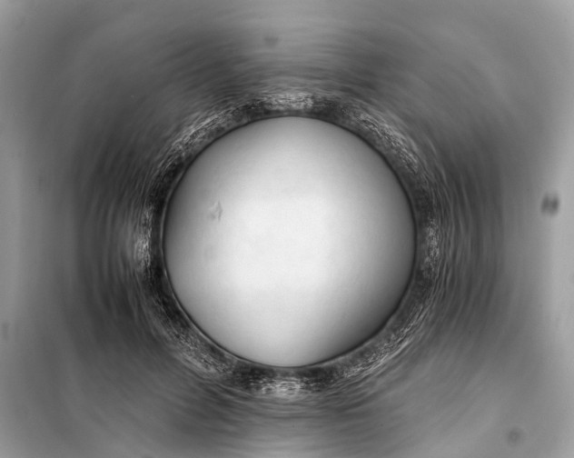 X0000098190600200805081049