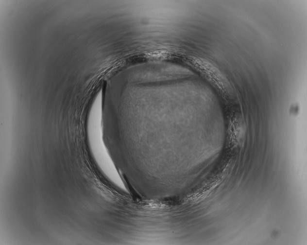 X0000098190601200805081049