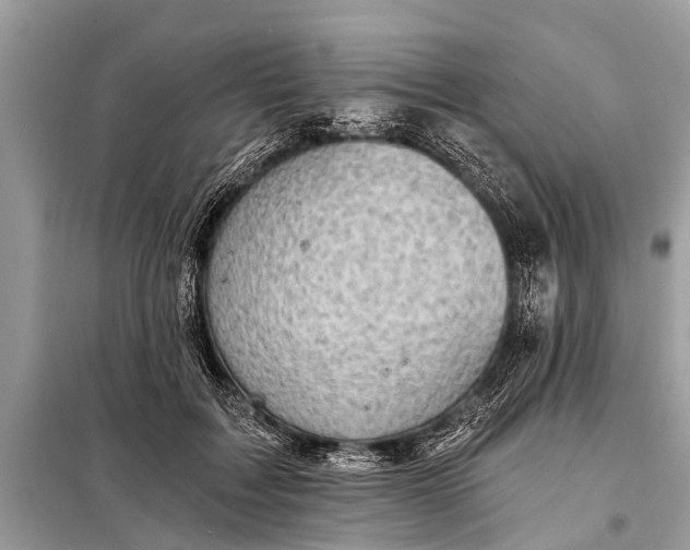 X0000098190603200805081049