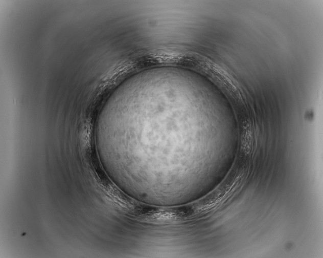 X0000098190604200805081049