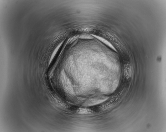 X0000098190605200805081049