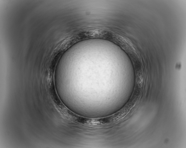 X0000098190607200805081049