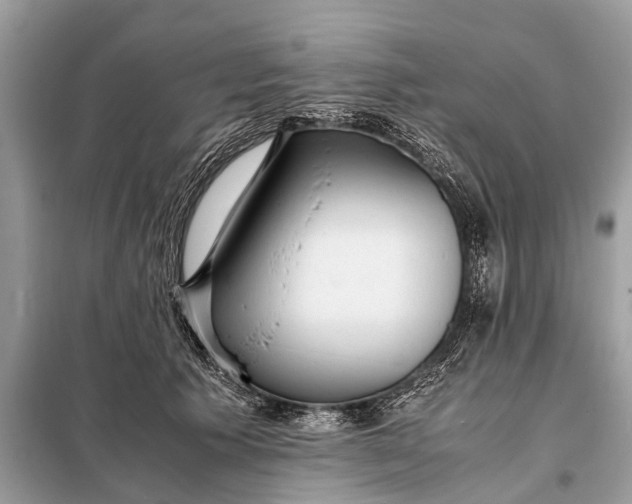 X0000098190609200805081049