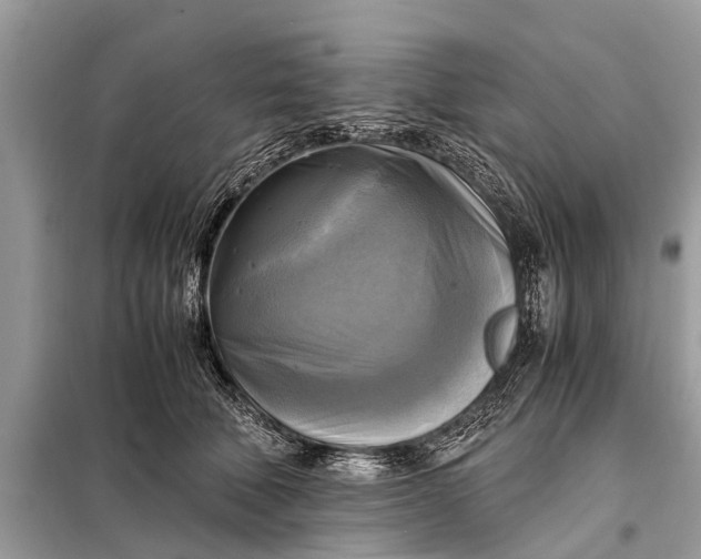 X0000098190610200805081049