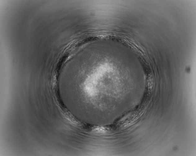 X0000098190611200805081049