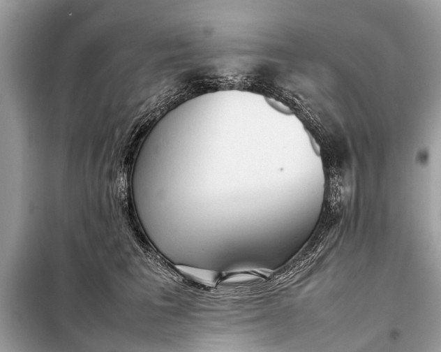 X0000098190613200805081049