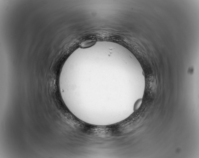 X0000098190615200805081049