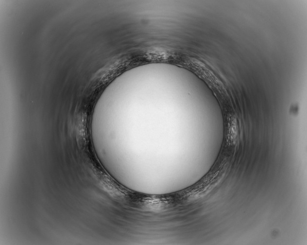 X0000098190616200805081049