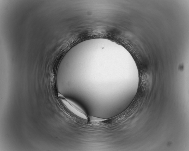 X0000098190617200805081049