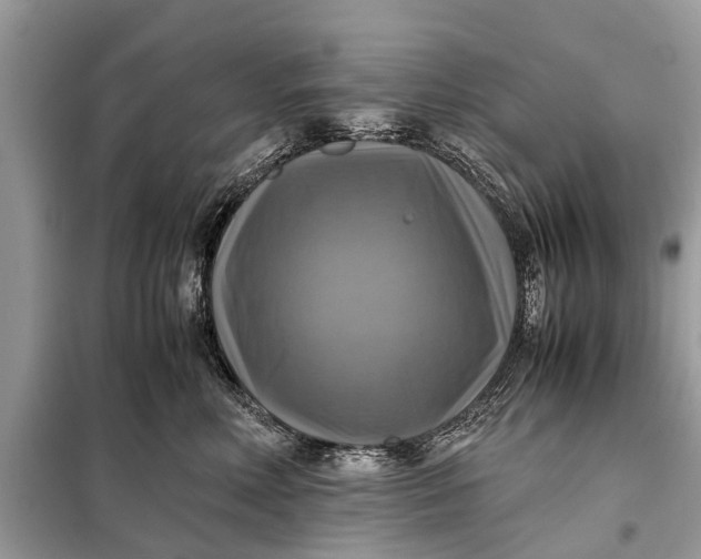 X0000098190618200805081049