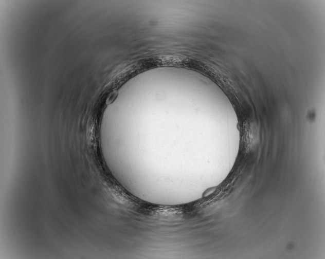 X0000098190619200805081049