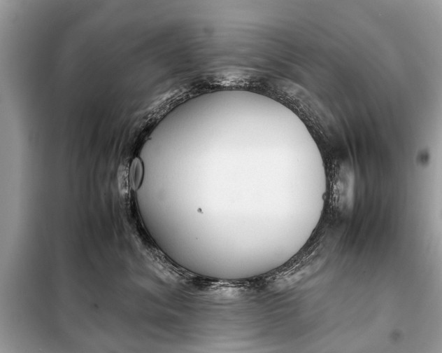 X0000098190620200805081049