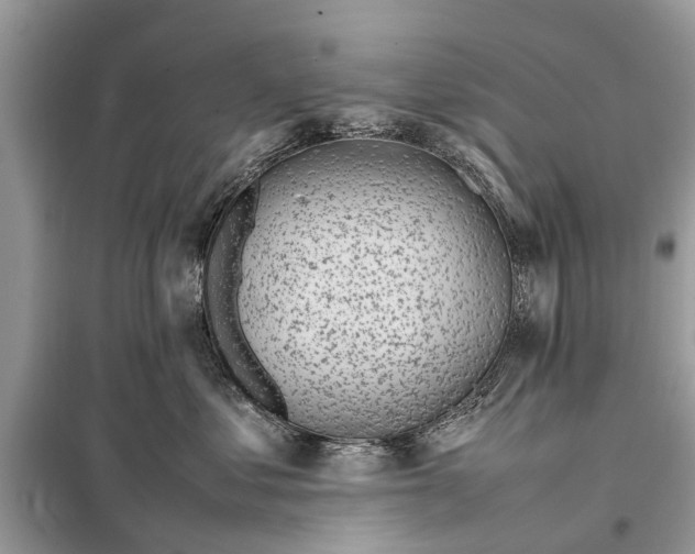 X0000098190621200805081049
