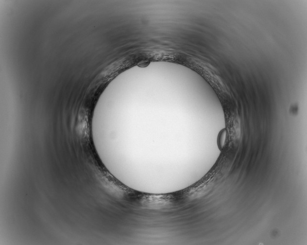 X0000098190622200805081049
