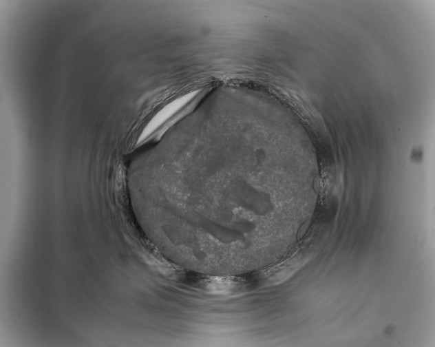 X0000098190623200805081049