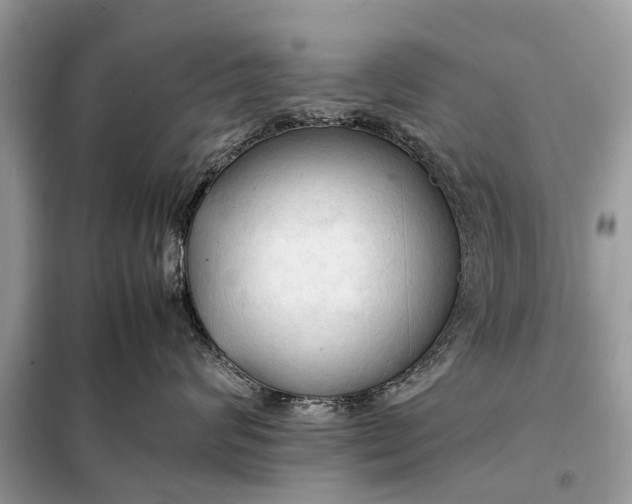 X0000098190624200805081049