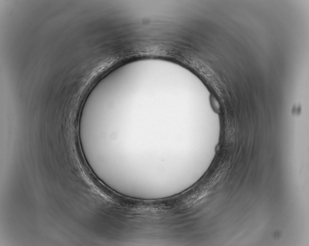 X0000098190625200805081048