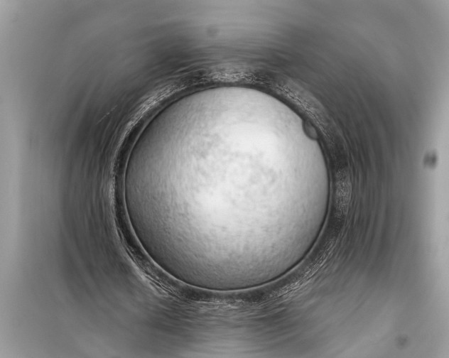 X0000098190626200805081048