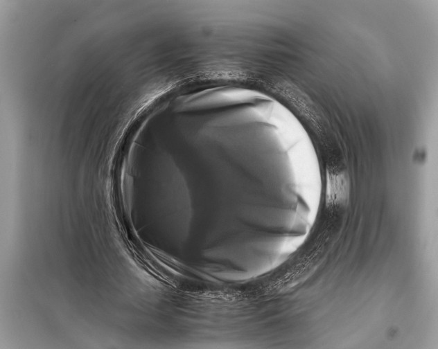 X0000098190627200805081048