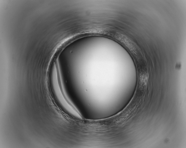 X0000098190628200805081048