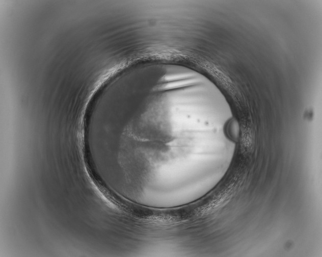X0000098190630200805081048