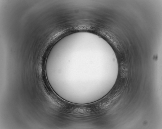 X0000098190631200805081048