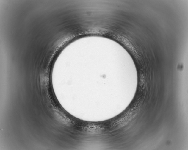 X0000098190632200805081048