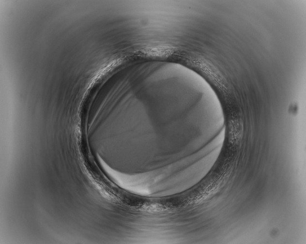 X0000098190634200805081048