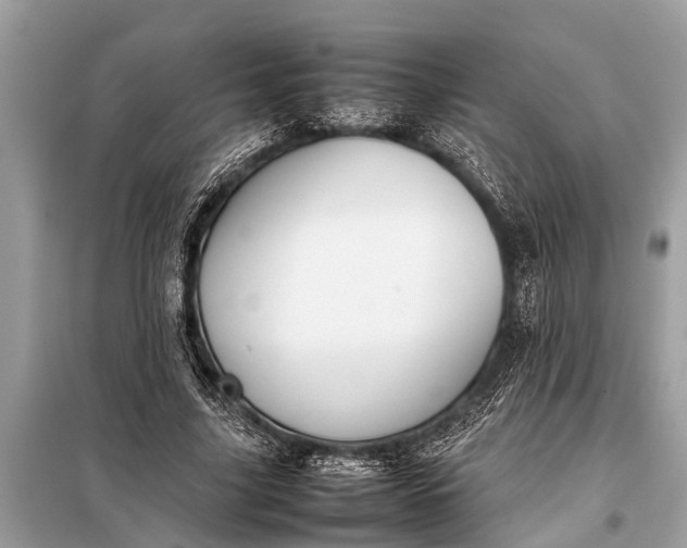 X0000098190635200805081048