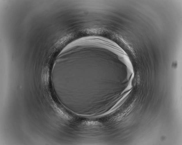 X0000098190637200805081048
