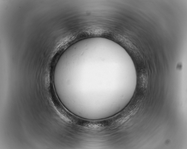 X0000098190638200805081048