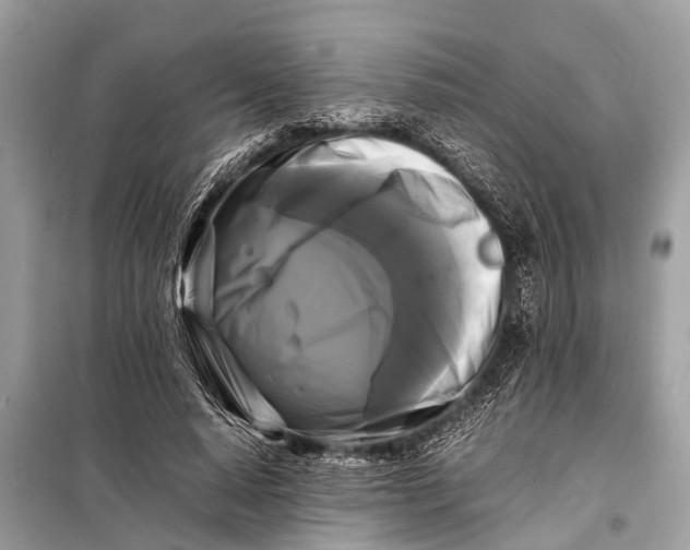 X0000098190640200805081048