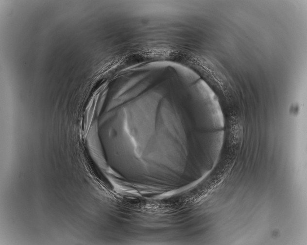 X0000098190641200805081048