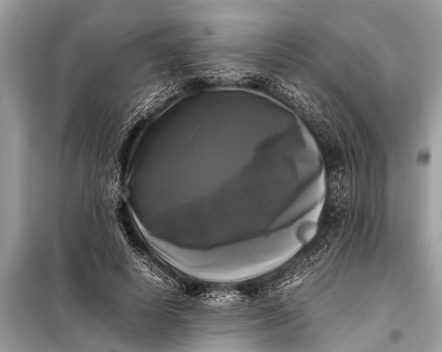 X0000098190642200805081048
