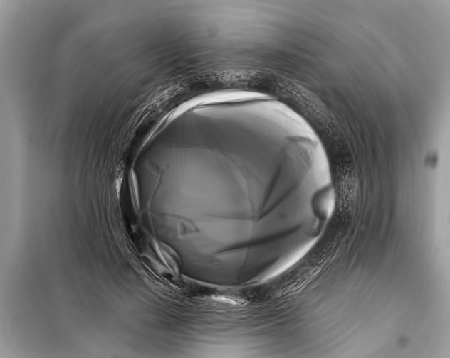 X0000098190644200805081049