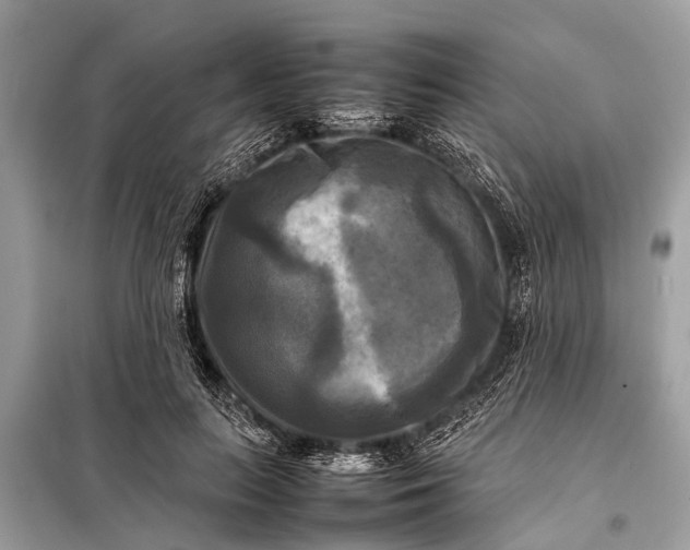 X0000098190647200805081049