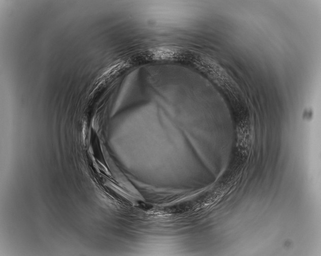 X0000098190648200805081049