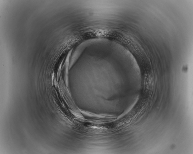 X0000098190650200805081049